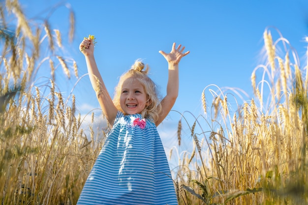 A little blonde girl in a rye field, a happy child.