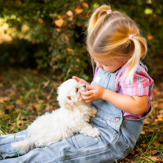 Little blonde toddler girl with two braids playing with nice white puppy