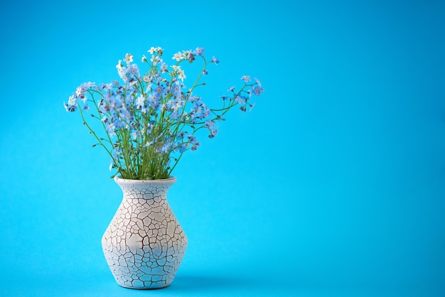 Фото Маленькие голубые цветы в вазе на цветном фоне тонкий стебель маленькие нежные цветы