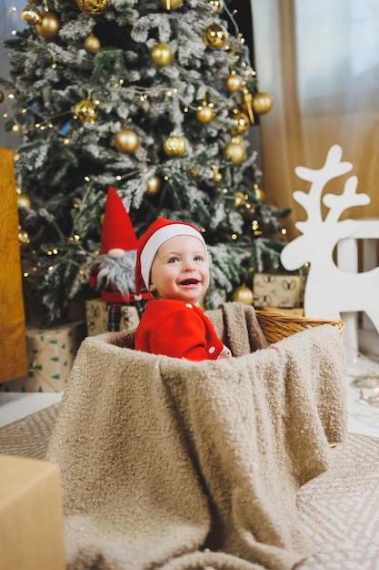 クリスマスツリーの背景に1歳の小さな男の子がバスケットに座っています クリスマスツリーの近くの赤い新年の風の中の子供