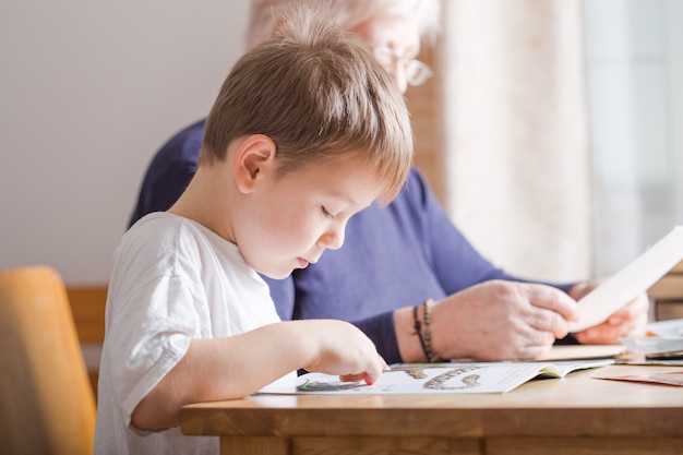 Little boy 4 years old reading book. He is sitting on chair  in sunny living room watching pictures in story. Kid doing homework for elementary school or kindergarten. Children study.