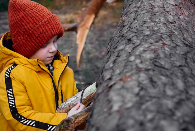 Photo little boy alone in the forest