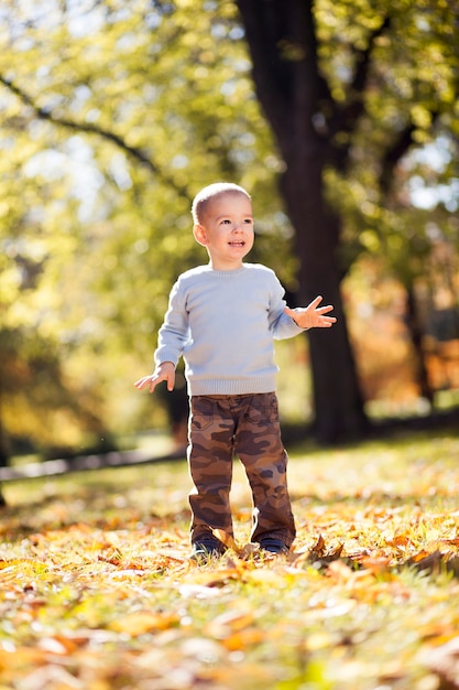 秋の公園の小さな男の子