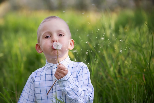 A little boy blows on a dandelion