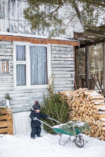 Little boy carries a christmas tree on a sled to home