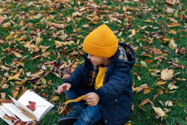 Photo a little boy collects autumn leaves in a notebook