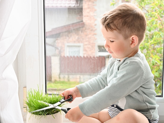 Little boy cuts grass with scissors