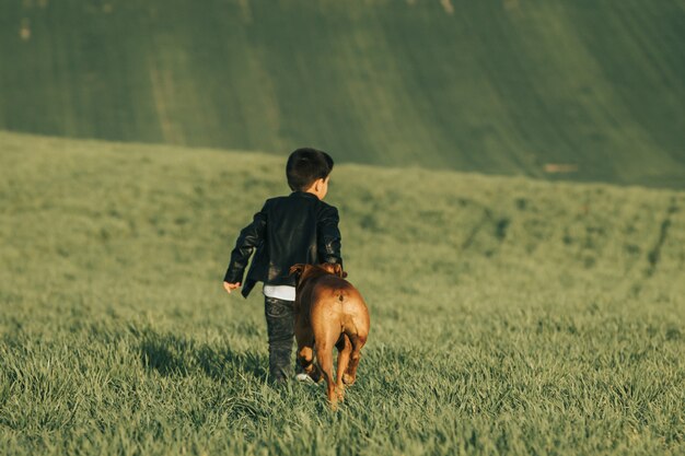 Little boy and dog in field. Boxer dog