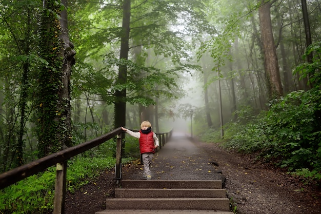 Ragazzino durante la passeggiata nel parco misterioso nebbioso