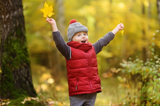 Foto ragazzino durante la passeggiata nella foresta al giorno soleggiato di autunno