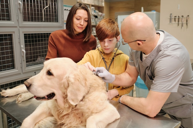 Photo little boy examining his pet with stethoscope together with mother and doctor at clinic