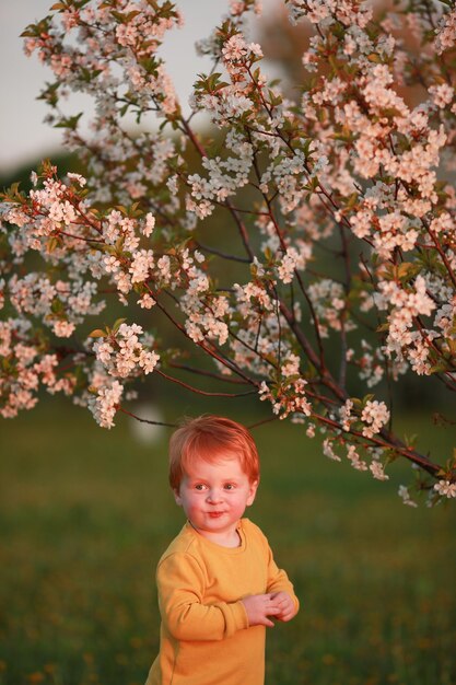 Little boy flowering and sunset