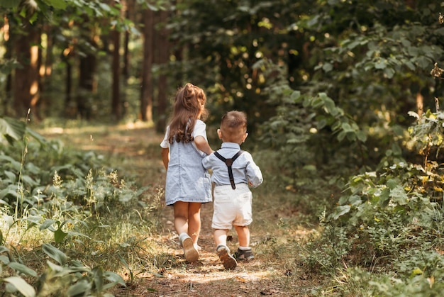 小さな男の子と女の子の兄と妹は夏に自然の中で一緒に遊ぶ