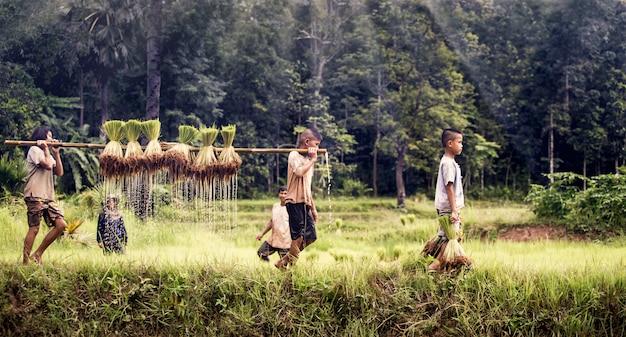 Little boy and girl farmer on green fields