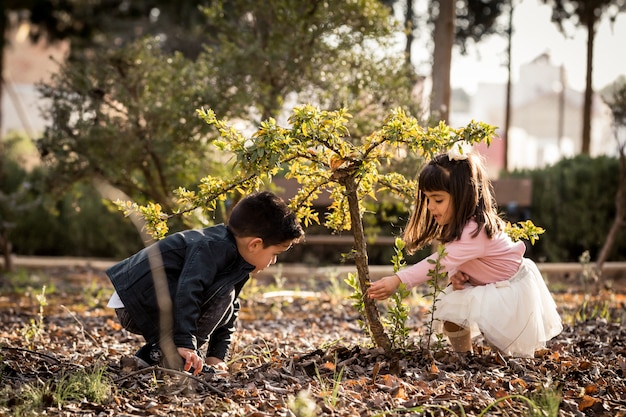Маленький мальчик и девочка, играя и культивируя дерево в парке