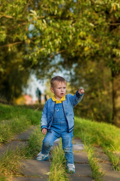 Как-то летом маленький мальчик спускается по ступенькам и показывает пальцем в сторону в общественном парке.