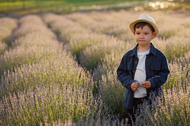 Little boy in a hat on a field with lavender