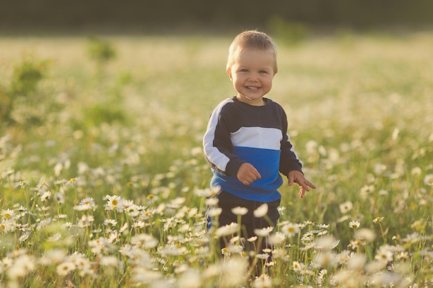 Little boy have fun with a blue bucket and a shovel walks in a chamomile field