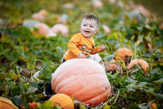 Little boy having fun on a tour of a pumpkin farm at autumn