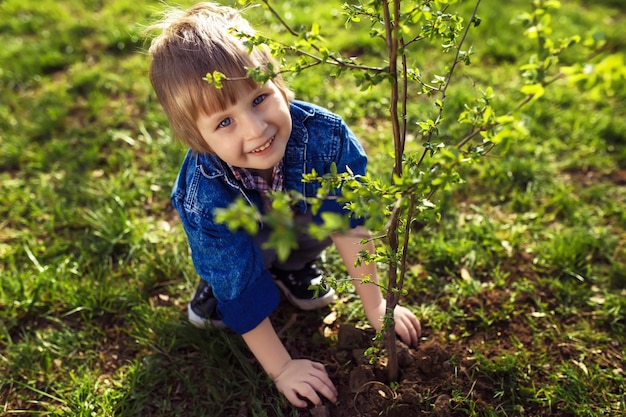 庭で一緒に働きながら父親が木を植えるのを手伝う小さな男の子