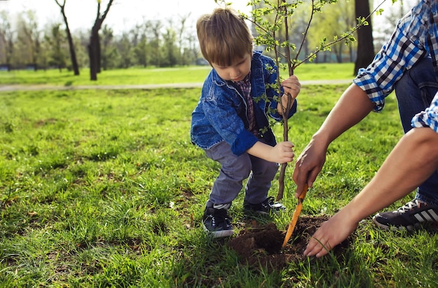 little boy helping his father to plant the tree while working together in the garden