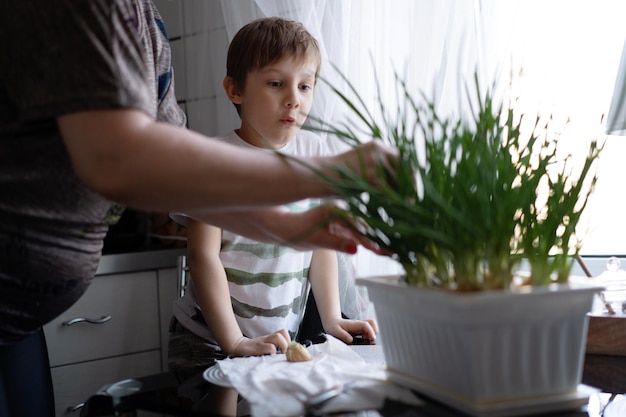 Маленький мальчик помогает бабушке собирать свежий лук
