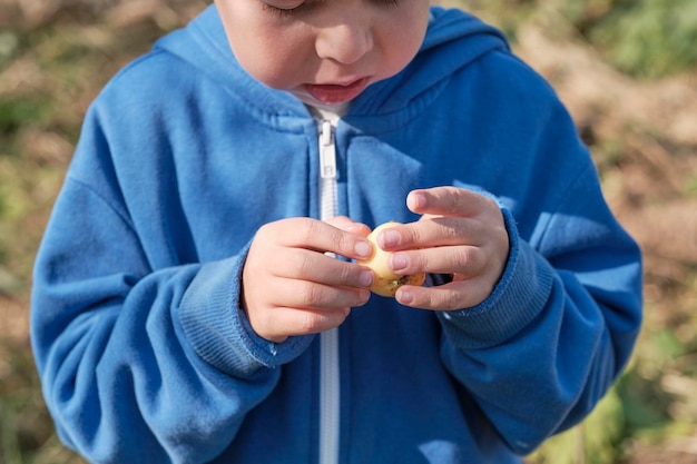 Little boy holding a hell apple in his hands closeup