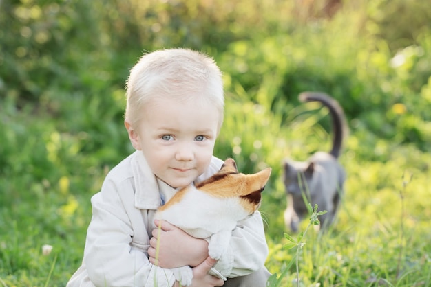 Photo little boy holding kitten on sunny summer day