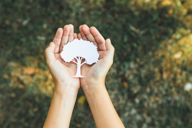 Little boy holding recycled paper tree to promote eco lifestyle gyre