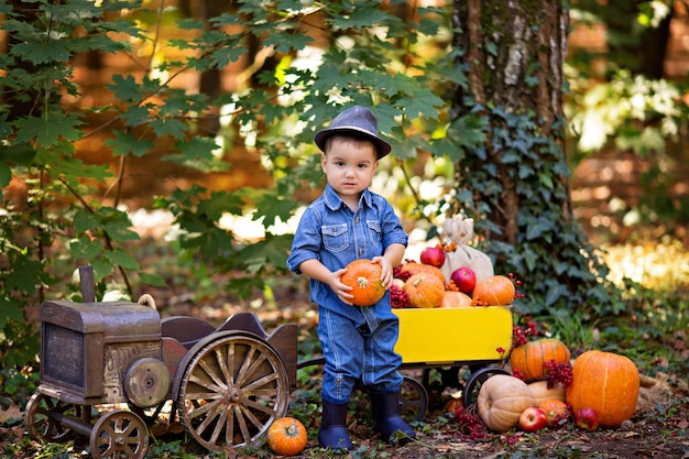 写真 カボチャとカートを持つトラクターの小さな男の子