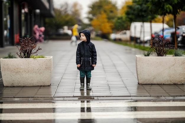 Foto un ragazzino guarda a destra ea sinistra prima di attraversare la strada sulle strisce pedonali in una giornata piovosa