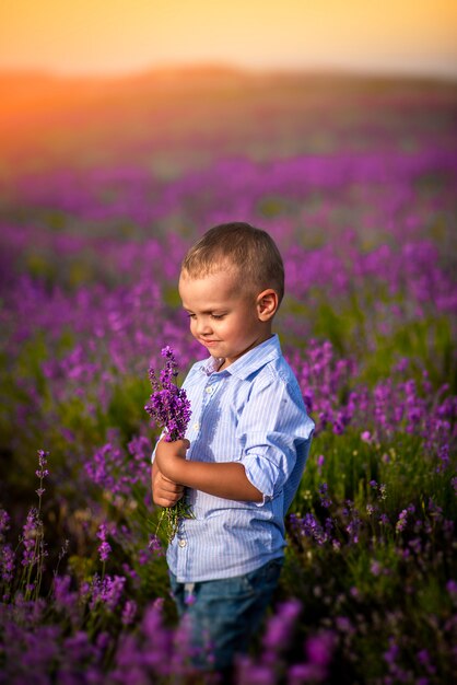 Un ragazzino sta giocando su un bellissimo campo di lavanda. vacanze di famiglia.