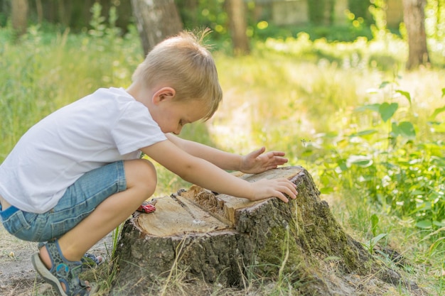 Little boy is playing in the park with toy cars