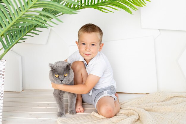 小さな男の子は猫と一緒に明るい部屋に座っています