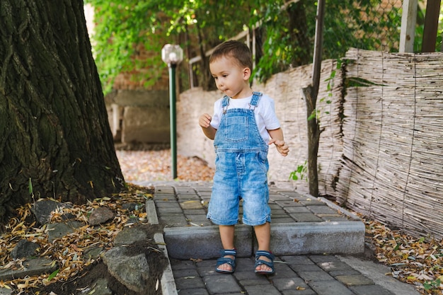 写真 小さな男の子がオーバーオールを着て公園を歩いています