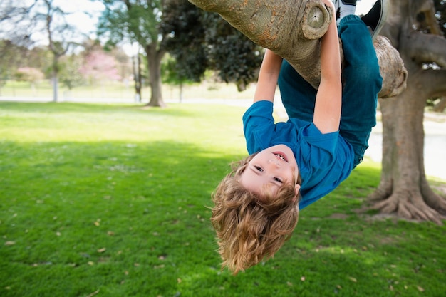 Little boy kid on a tree branch child climbs a tree