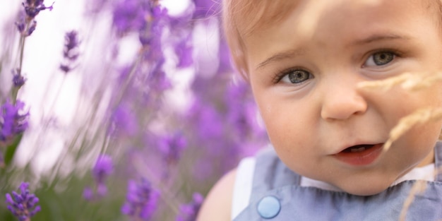 Little boy in lavender flowers closeup Selective focus