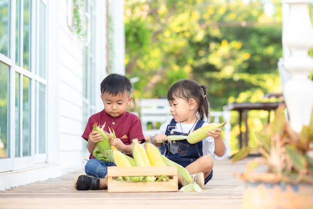 小さな男の子と少女は甘いトウモロコシをはがすのを助けます。