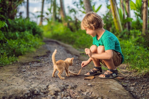 Little boy and little kitten playing outside