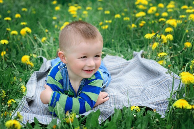 Little boy lying on the flower meadow