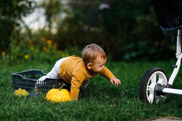 Little boy near the stroller on the grass in summer