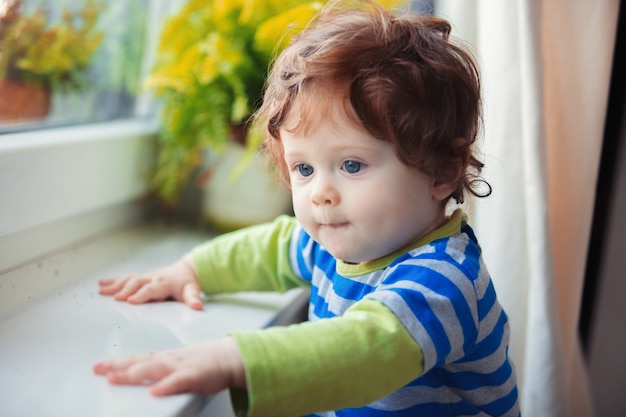 写真 窓枠と植物の近くの小さな男の子