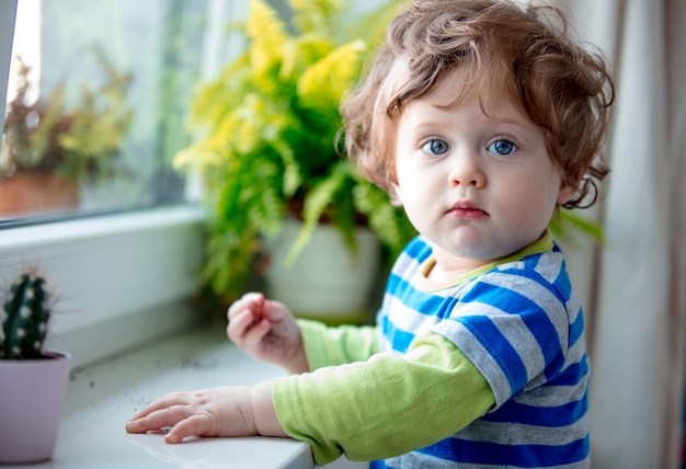 Little boy near window sill and plant