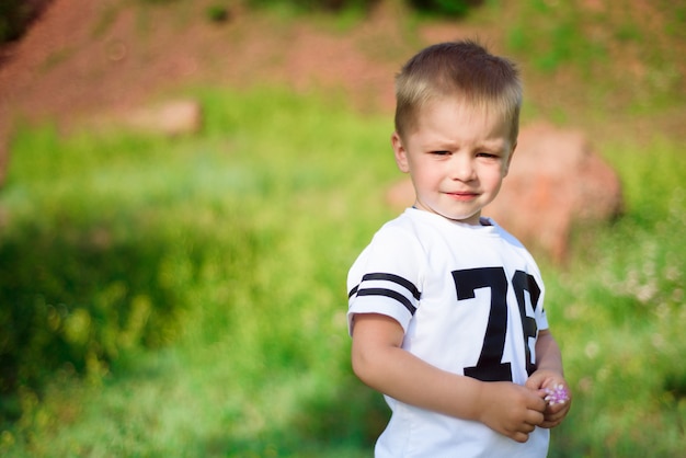 夏の自然でポーズ2歳の男の子。