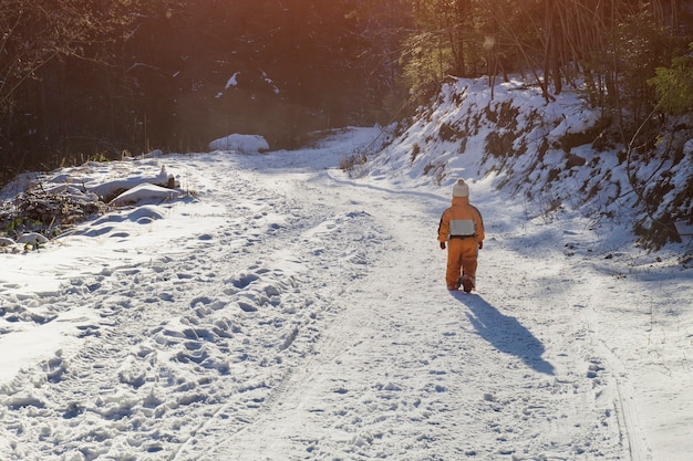 Little boy in an orange jumpsuit walking on snow-covered road in a coniferous forest. Winter sunny day. Back view.