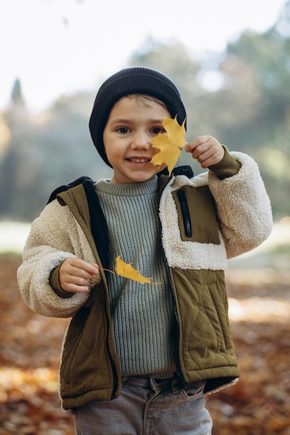 Little boy in park holding autumn leaves