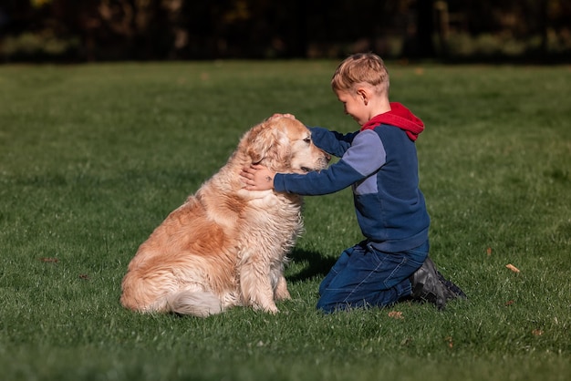 Little boy playing and training golden retriever dog in the field in summer day together Cute child with doggy pet portrait at nature