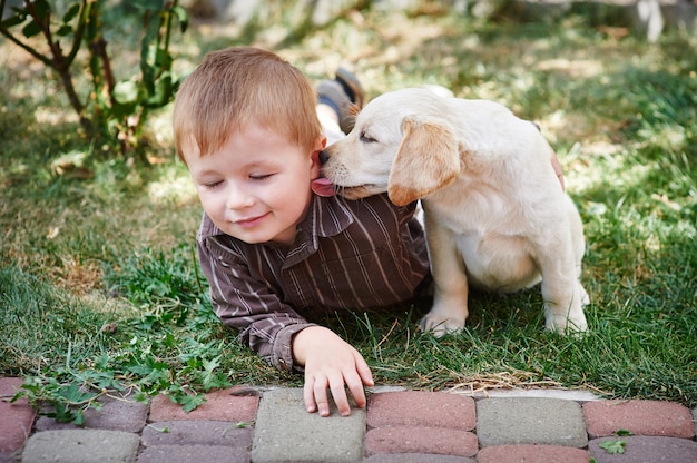 Little boy playing with a white Labrador puppy