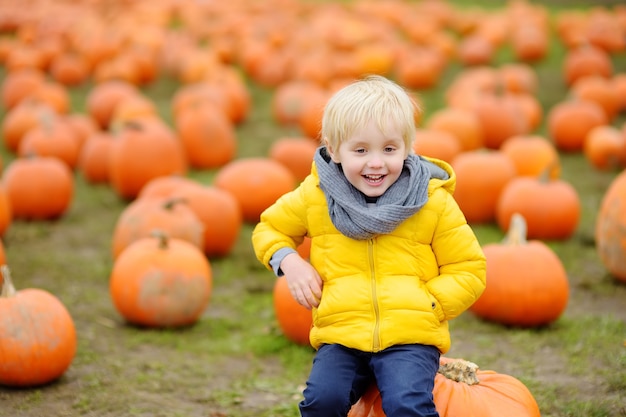 Little boy on a pumpkin farm in autumn