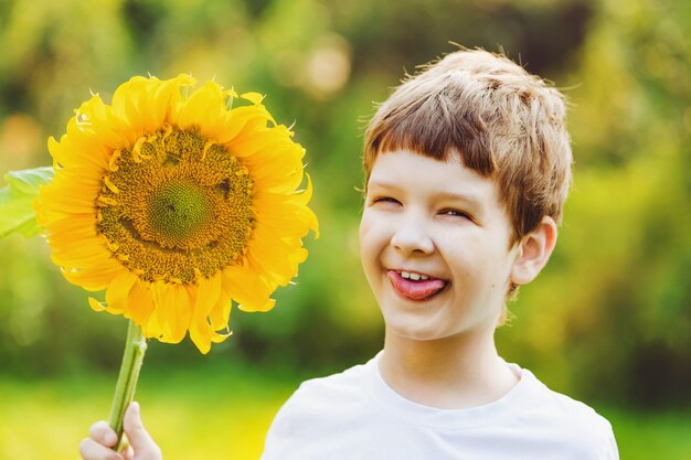  Little boy put out his tongue and holding sunflower. 